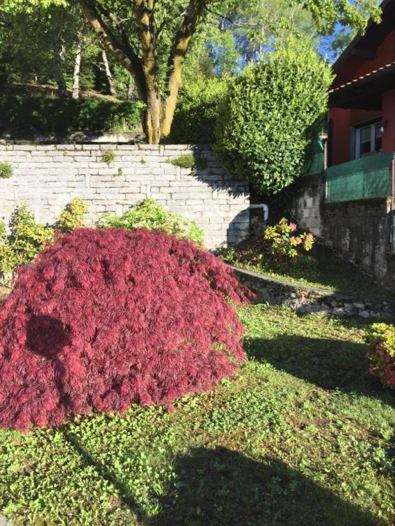 Villa Assunta Premeno Dış mekan fotoğraf